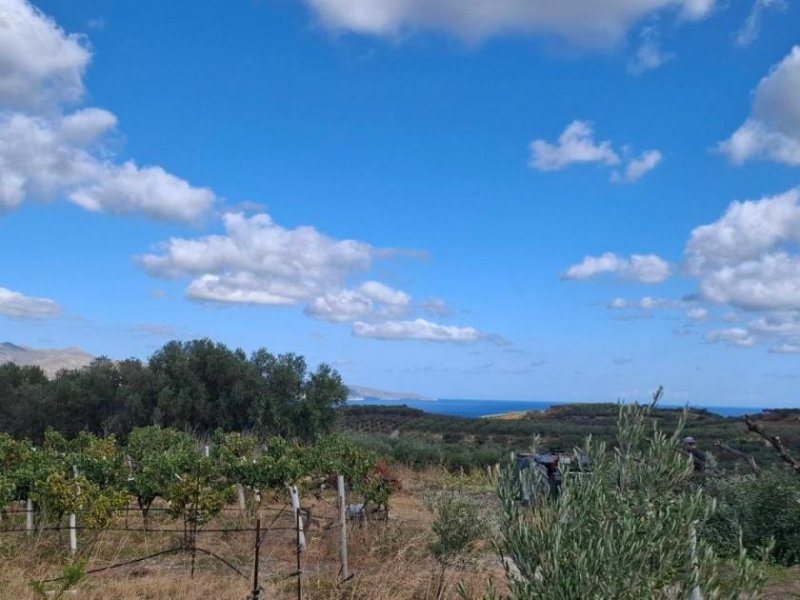 Elliniko Kreta, Elliniko: Grundstück mit Meerblick und hohen Baurechten zu verkaufen Grundstück kaufen